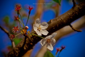 _MG_4310.jpg