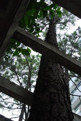 DSC_0122.JPG