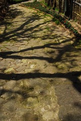DSC_0120.JPG