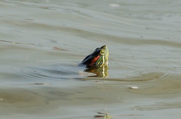 DSC_9023-1