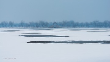 颐和春雪