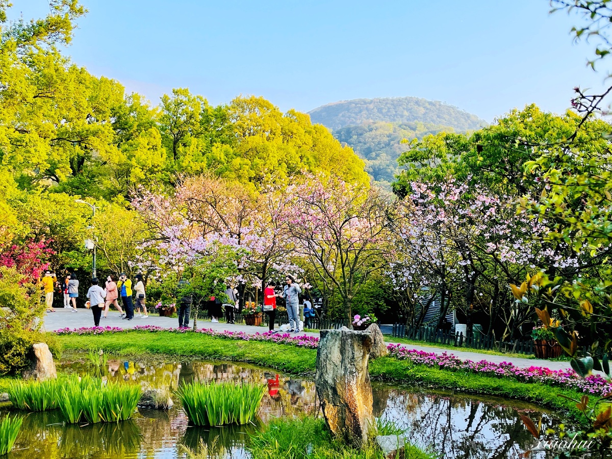 台北阳明山公园风景