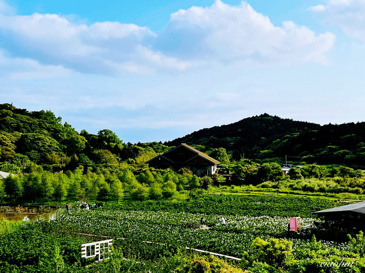 台北阳明山上风景