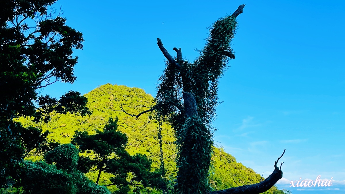 台湾新北观音山风景