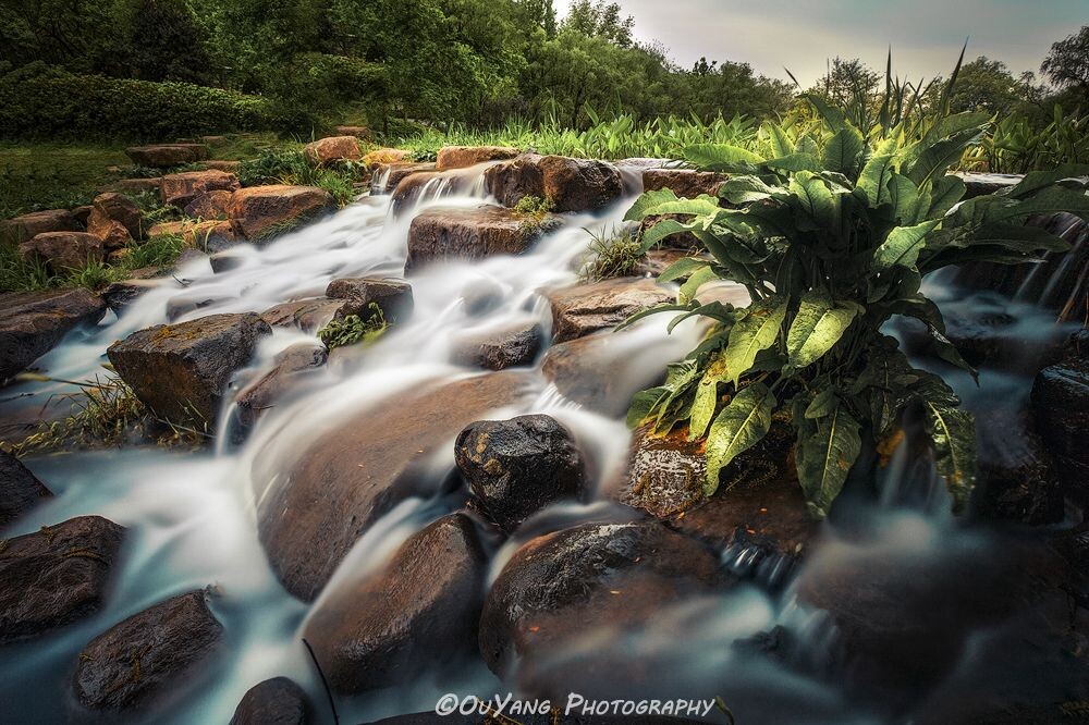 我们的身边并不缺少美丽的风景，缺少的只是发现美的眼睛，拍完这张照片之后我就更加确信这句话了