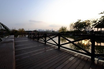 DSCF6852-1