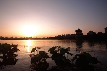 DSCF8644-1