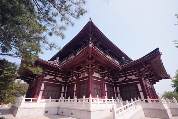 DSCF8837-1