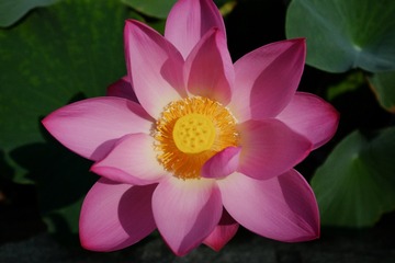 DSCF8853-1