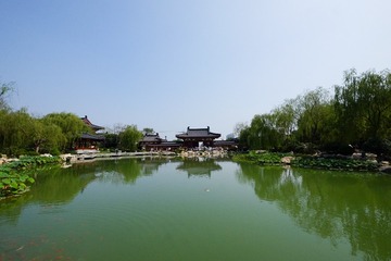 DSCF8855-1