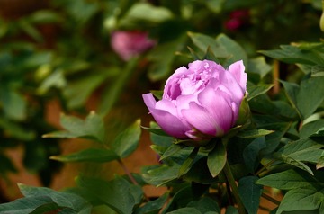 CO_DSC3865