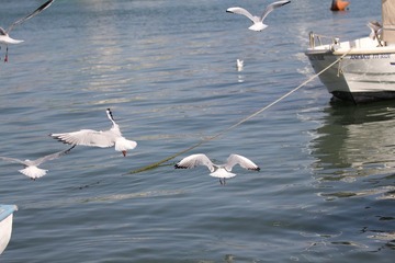 IMG_1045.jpg