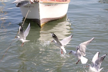 IMG_1137.jpg