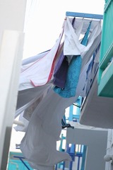 IMG_1492.jpg