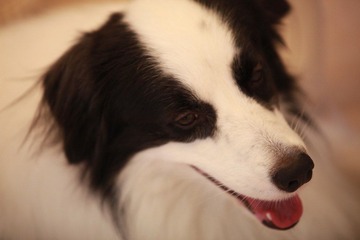 IMG_1793.JPG
