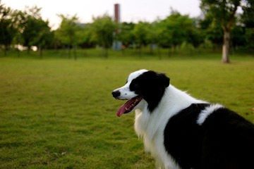 L1002895.JPG