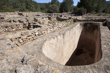 DSC06123-13