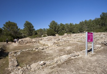 DSC06141-16