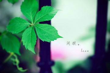 20110802-IMG_1260副本.jpg