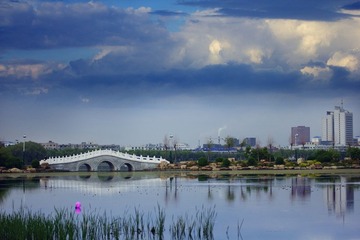 IMG_8466.jpg