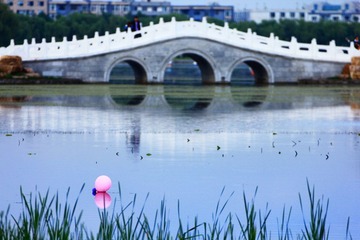 IMG_8474.jpg
