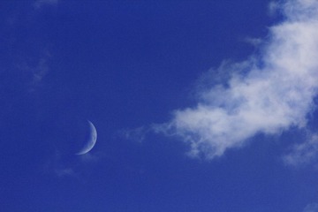 IMG_8498.jpg