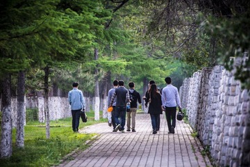 IMG_8500.jpg