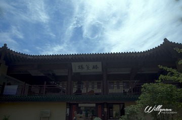 _DSC0656