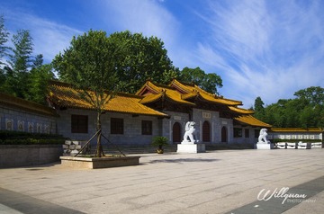 _DSC0699