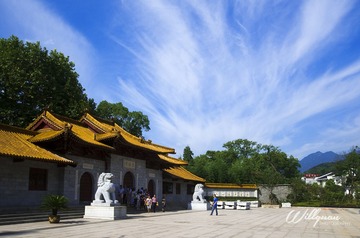 _DSC0703