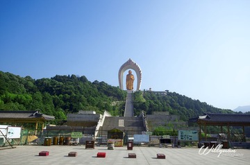 _DSC0713