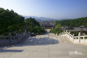 _DSC0720