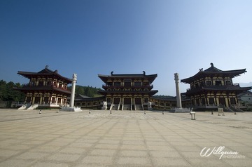 _DSC0731