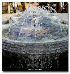 nEO_IMG_DSC06137.jpg