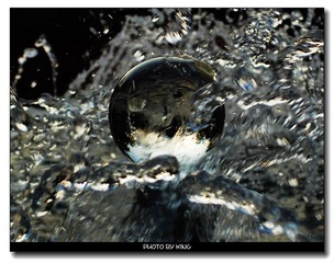nEO_IMG_DSC06161.jpg