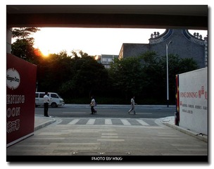 nEO_IMG_DSC06173.jpg
