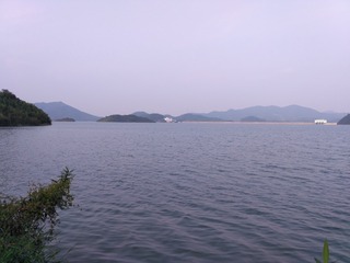 Picture 3224720