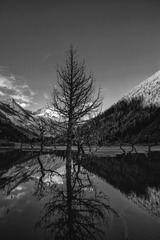 _DSC1015