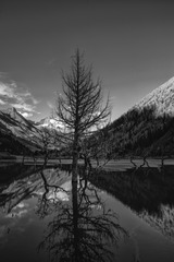 _DSC1015