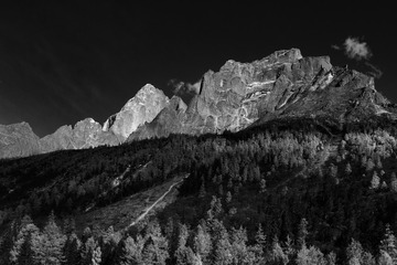 _DSC1012