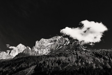 _DSC1006