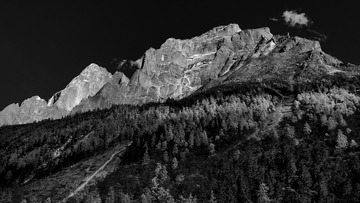 _DSC1012