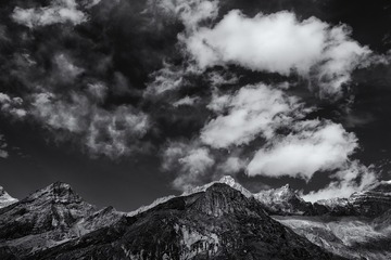 _DSC1002