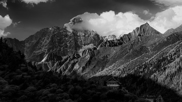 _DSC1174