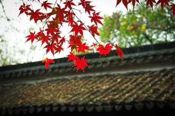 DSC00164-1