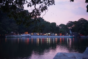 DSC02882-1