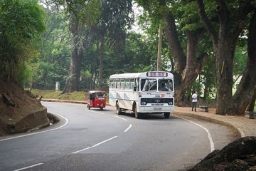 DSC03001-1