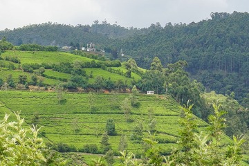DSC03093-1