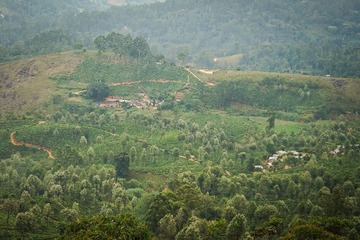 DSC03347-1