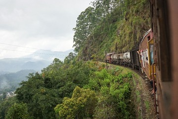 DSC03349-1